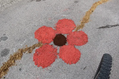 🌸 Le Infiorate di San Sisto